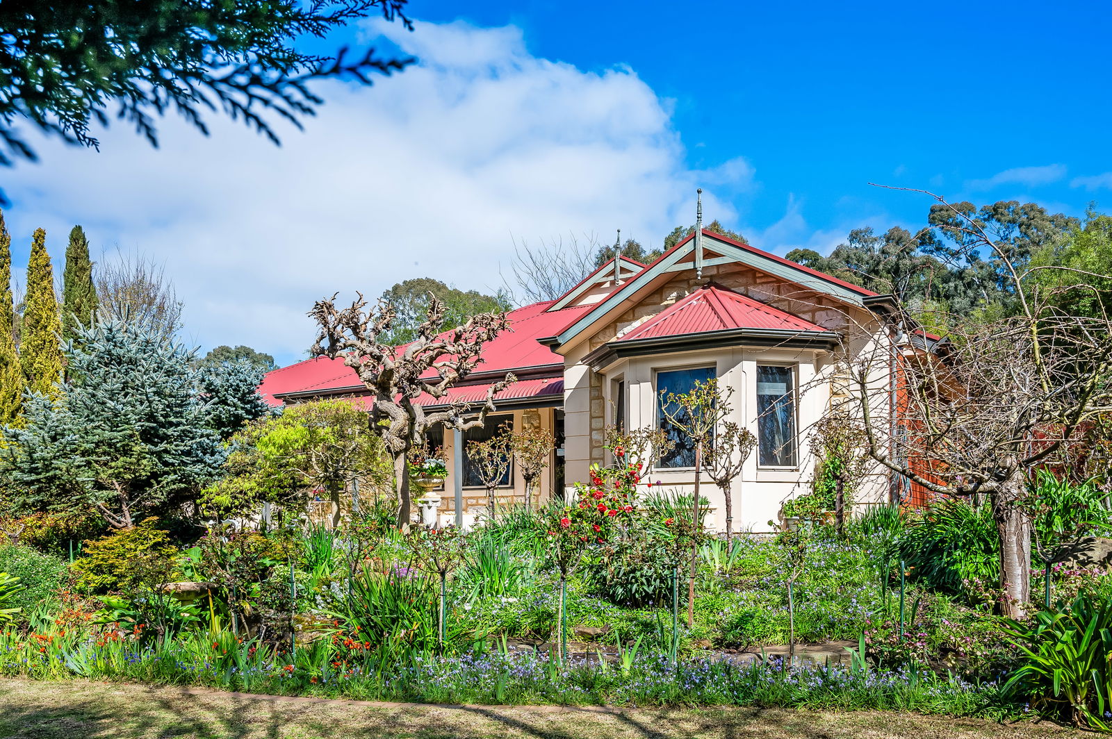 21 Waterford Avenue Mount Barker SA 5251 House For Sale Mount