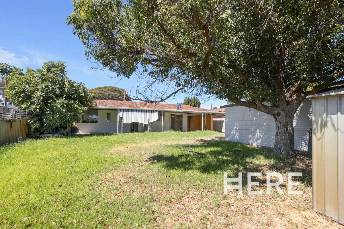 873 Wanneroo Road, Wanneroo WA 6065-1