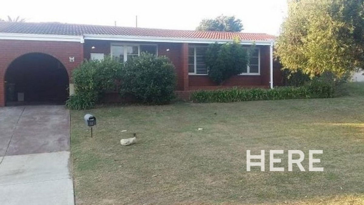 11 March Street, Gwelup WA 6018-1